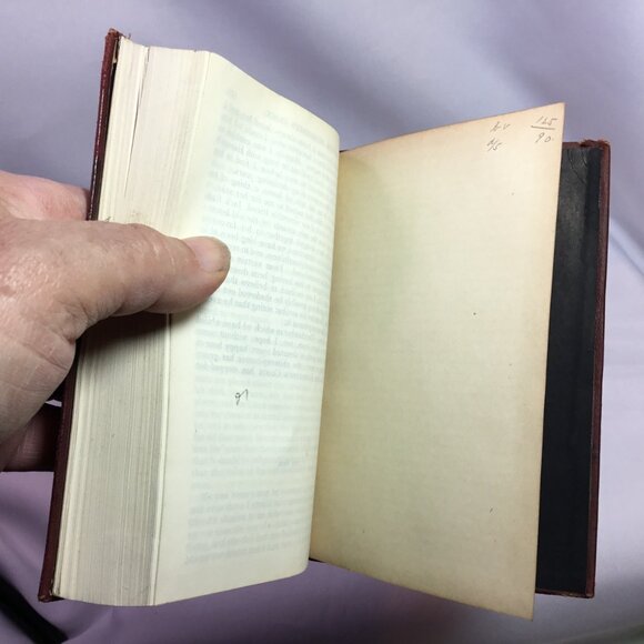 Antique Christmas Stories by Charles Dickens-Thomas Nelson & Sons 1904 Vol. XIII - Picture 13 of 13